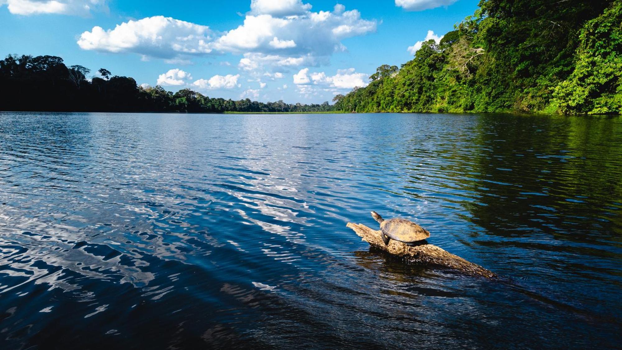 Tres Chimbadas Lake Lodge Tambopata Exterior photo